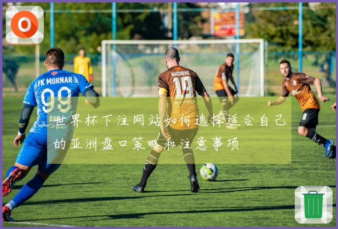 世界杯下注网站如何选择适合自己的亚洲盘口策略和注意事项